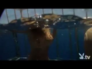 Chicas desnudas en una jaula de tiburones!