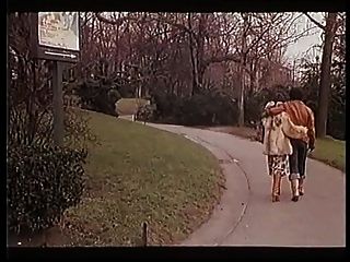 2 resbalones ami (1976)